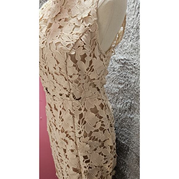 FOREVER 21 Cream Nude Emb Lace Overlay Taupe Bodycon Midi Dress SEE~ Sz Med 6 8 - Picture 5 of 5